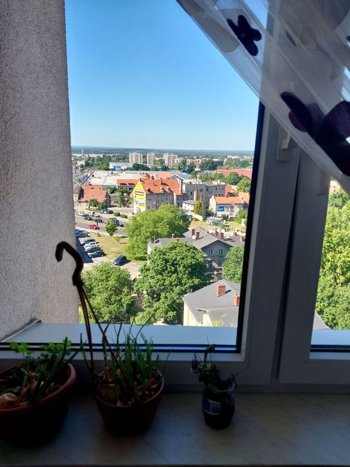 Mieszkanie 3-pokojowe Zielona Góra Centrum, ul. 1 Maja. Zdjęcie 15