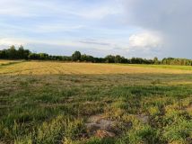 Działka rolno-budowlana Orliska. Zdjęcie 1