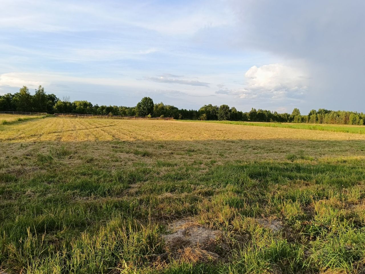 Działka rolno-budowlana Orliska. Zdjęcie 2