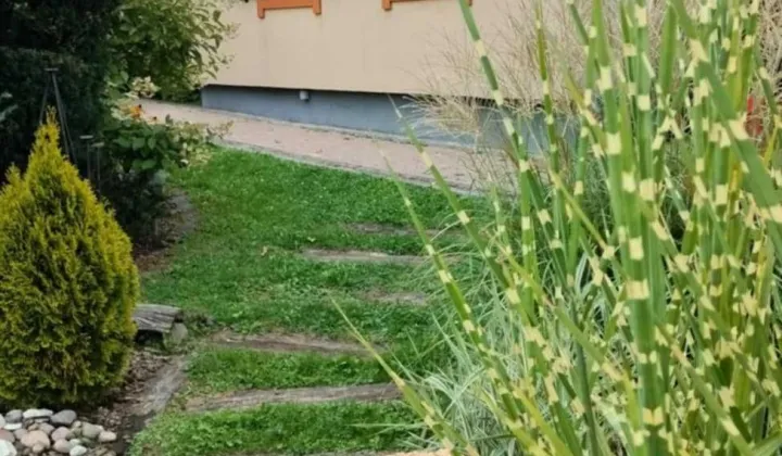 Działka rod Andrychów