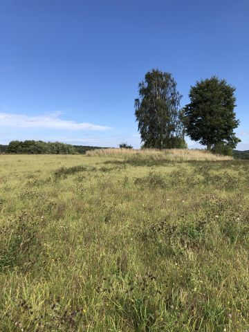 Działka siedliskowa Nowy Wiec. Zdjęcie 1