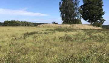 Działka siedliskowa Nowy Wiec, Brak