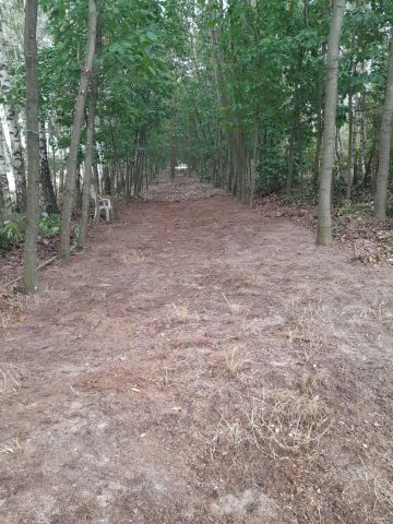 Działka rolno-budowlana Strzeszewo. Zdjęcie 1