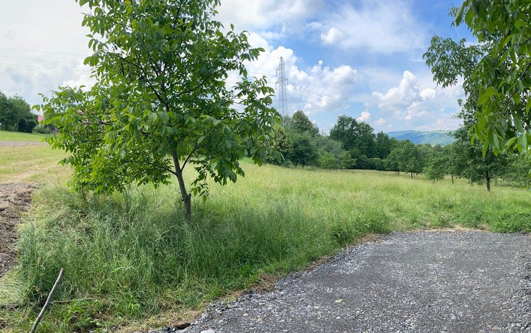 Działka budowlana Lipowe. Zdjęcie 3