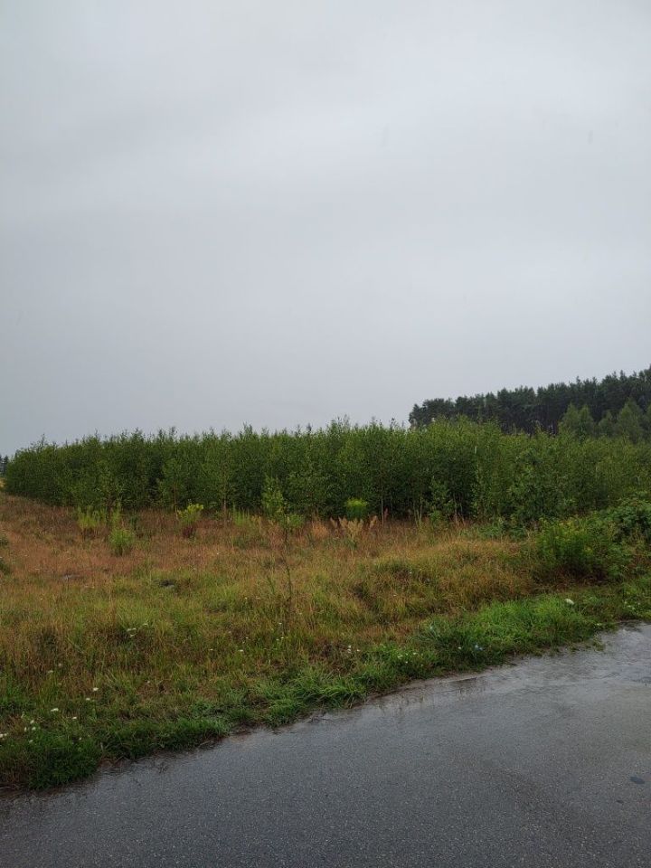 Działka budowlana Pogorzałe Ługi. Zdjęcie 4