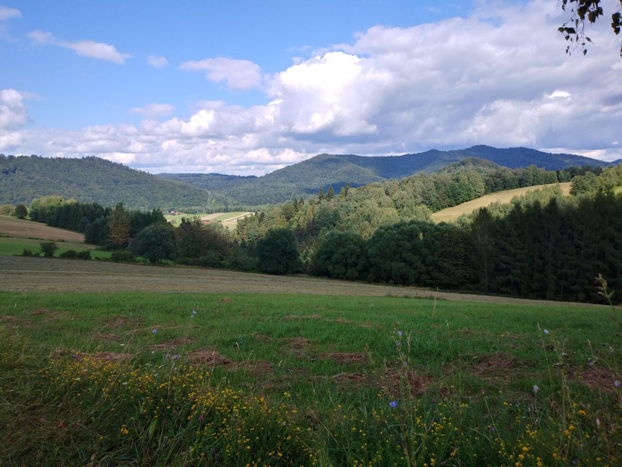 Działka budowlana Ustjanowa Górna. Zdjęcie 3