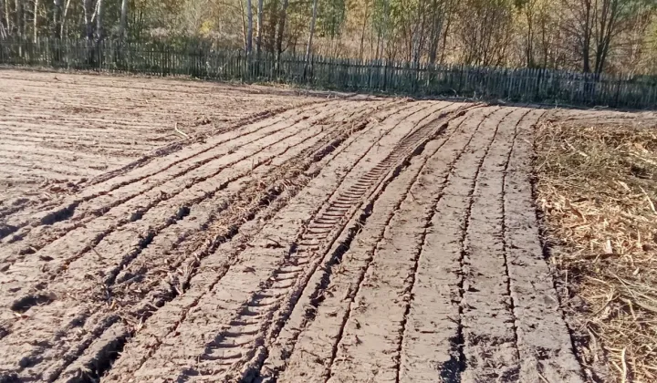 Działka siedliskowa Grzegorzewice, ul. Słoneczna