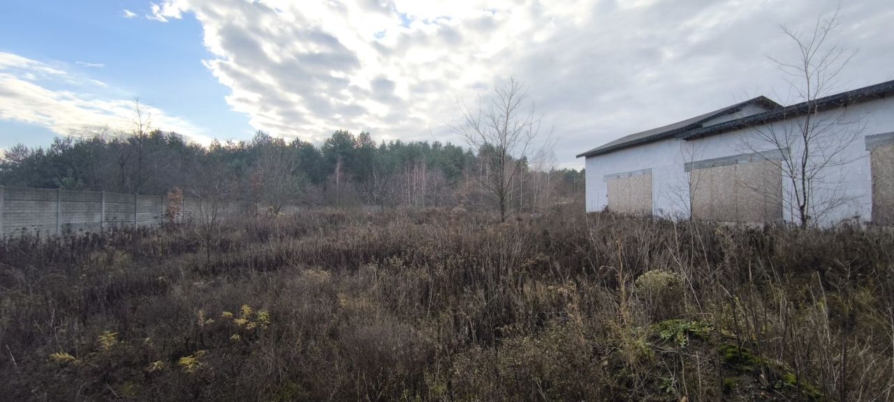 Działka inwestycyjna Rogożewek. Zdjęcie 2