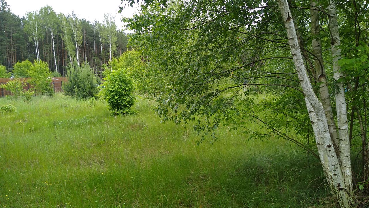 Działka rekreacyjna Trzepnica. Zdjęcie 6