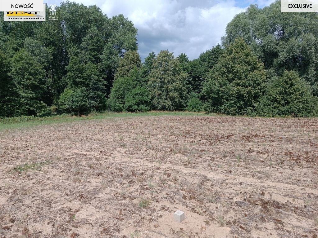 Działka rolna Długie. Zdjęcie 8