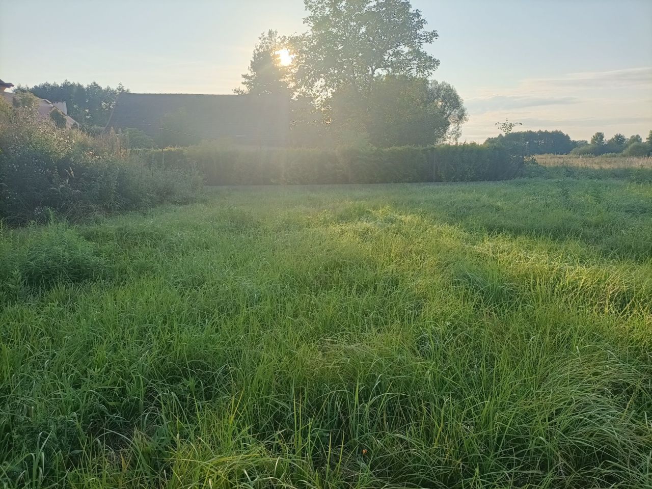 Działka budowlana Buczków. Zdjęcie 8