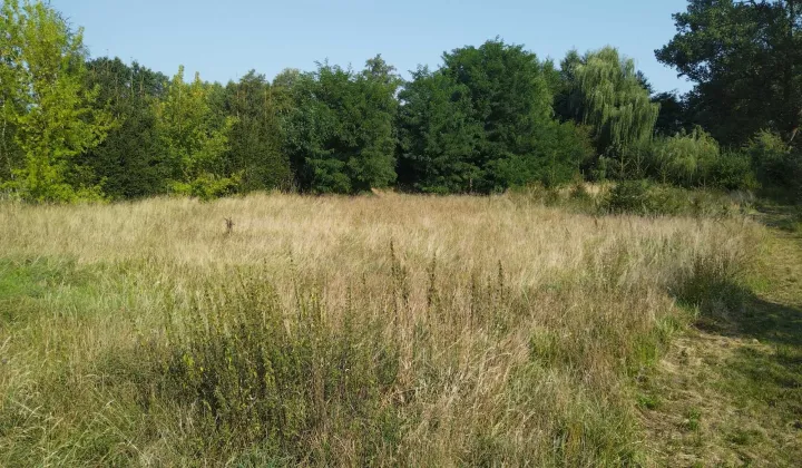 Działka budowlana Żarowo, ul. Długa