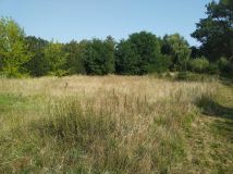 Działka budowlana Żarowo, ul. Długa