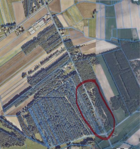 Działka budowlana Nadzież. Zdjęcie 1