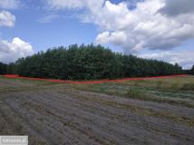 Działka rolna Podgórzno. Zdjęcie 3