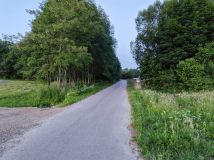 Działka leśna Kaszewska Wola. Zdjęcie 1