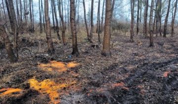 Działka rod Stęszew