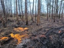 Działka rod Stęszew. Zdjęcie 1