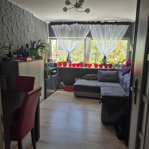 Mieszkanie 3-pokojowe Łódź Polesie, ul. Stefana Okrzei. Zdjęcie 1