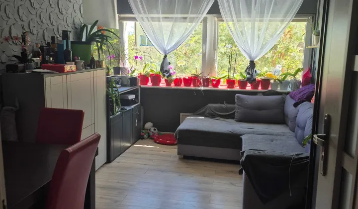 Mieszkanie 3-pokojowe Łódź Polesie, ul. Stefana Okrzei