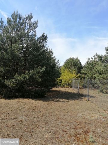Działka rekreacyjna Lubaty. Zdjęcie 1
