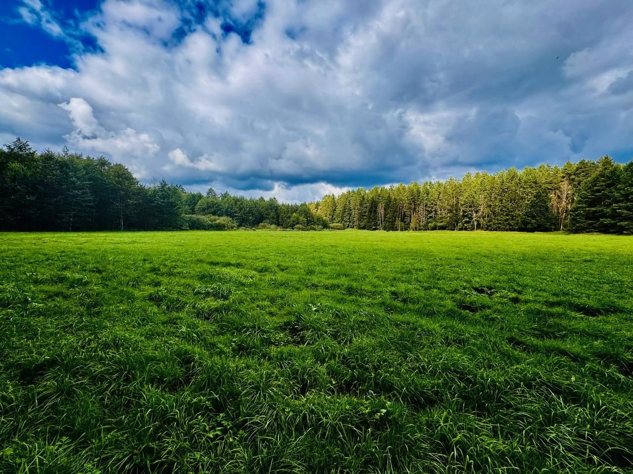 Działka rolna Nitki. Zdjęcie 9