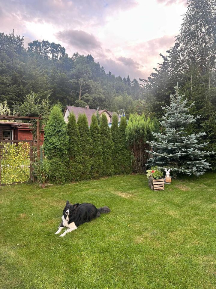 Działka rekreacyjna Brenna Leśnica. Zdjęcie 7