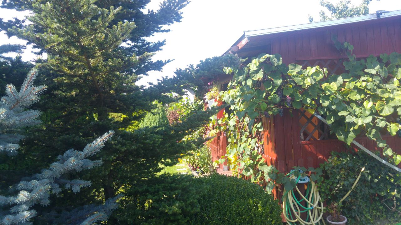 Działka rod Bolesławiec, ul. Augusta Cieszkowskiego. Zdjęcie 5