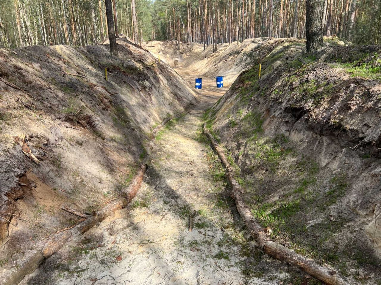 Działka leśna Rzgów. Zdjęcie 6