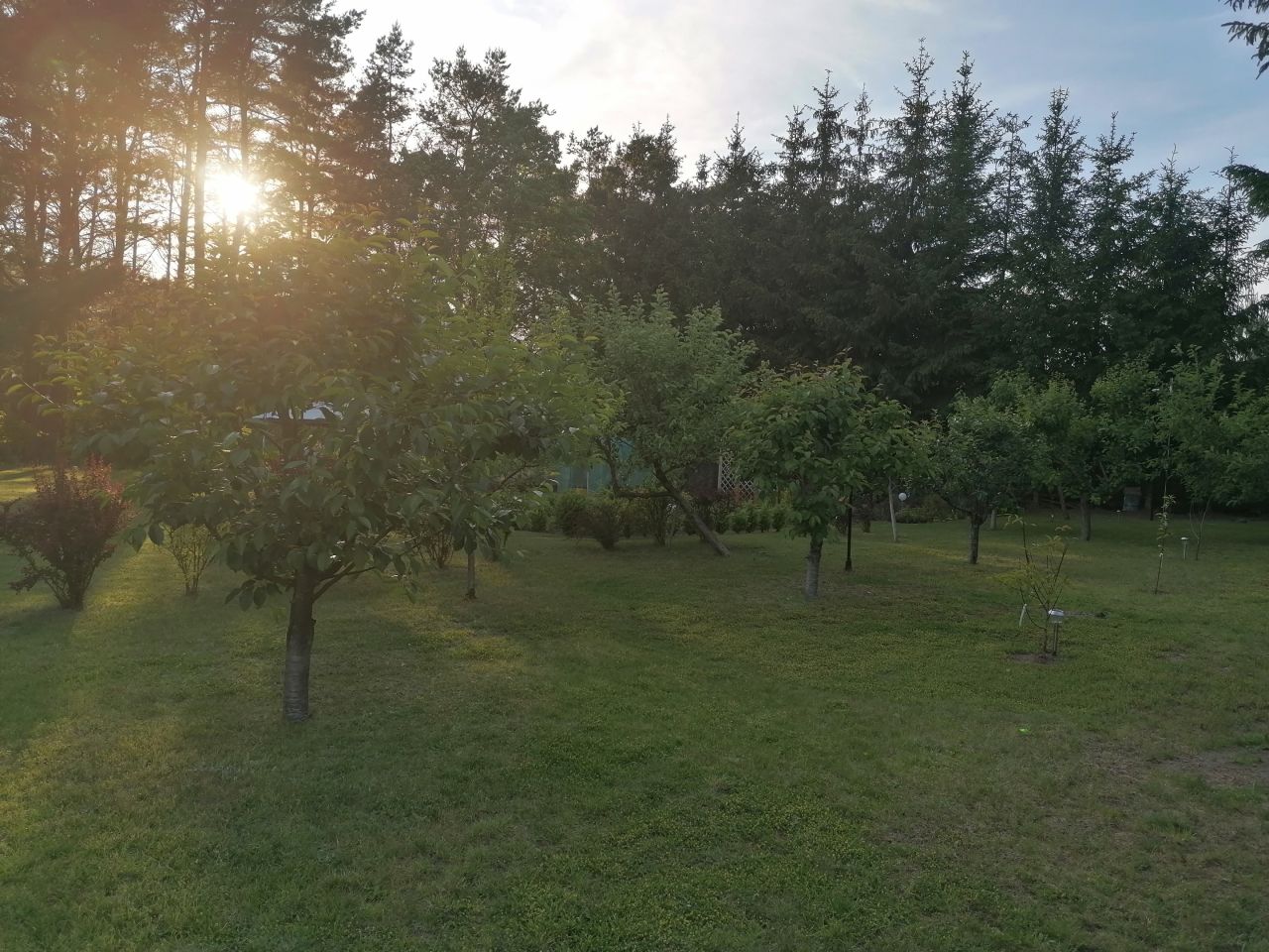 Działka siedliskowa Chwalęcice. Zdjęcie 7