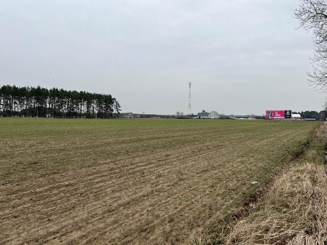 Działka inwestycyjna Wilków, ul. Klonowa. Zdjęcie 5