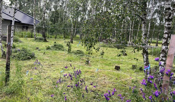 Działka budowlana Wesołówka