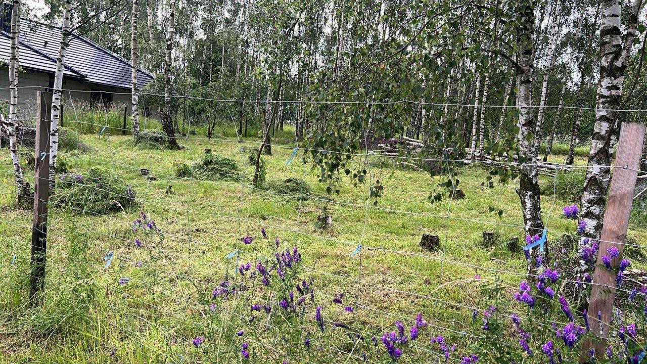 Działka budowlana Wesołówka