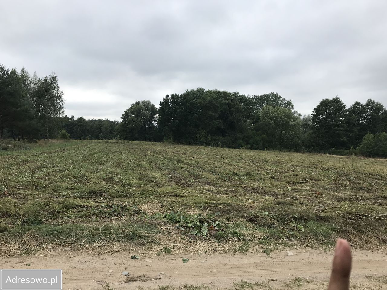 Działka rekreacyjna Jędrzejewo. Zdjęcie 6