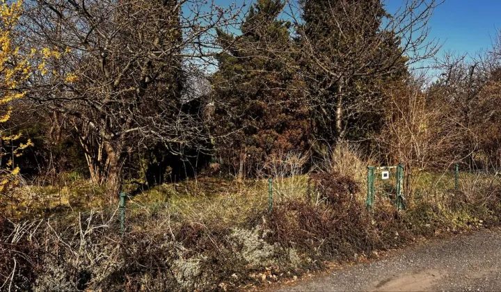 Działka rod Gdańsk Suchanino, ul. Nowolipie