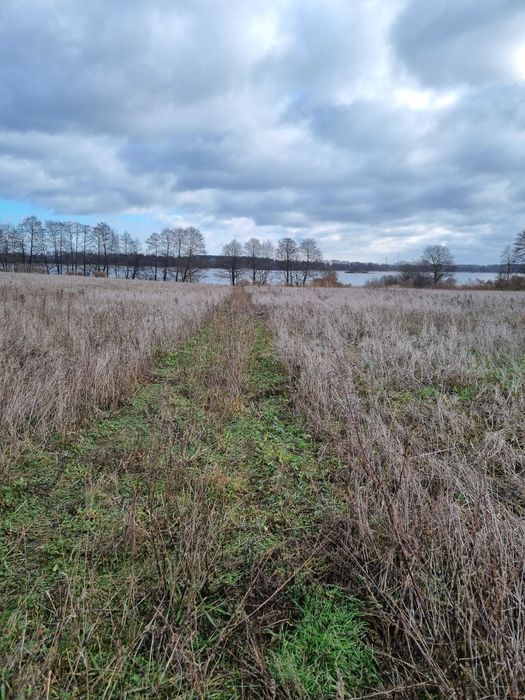 Działka rekreacyjna Stefanowo. Zdjęcie 3