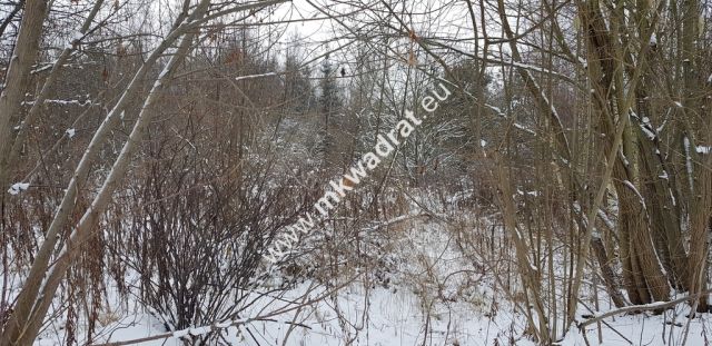 Działka inwestycyjna Marków-Towarzystwo. Zdjęcie 2