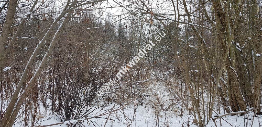 Działka inwestycyjna Marków-Towarzystwo. Zdjęcie 2