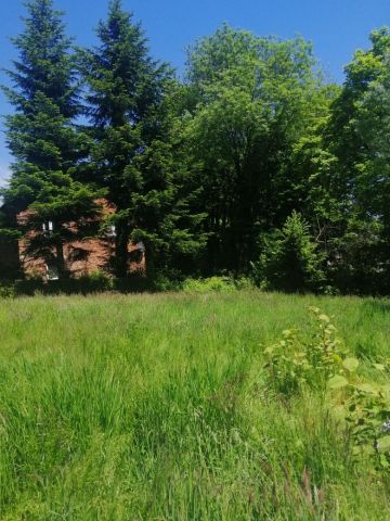 Działka budowlana Pisarzowice, ul. Morelowa. Zdjęcie 1
