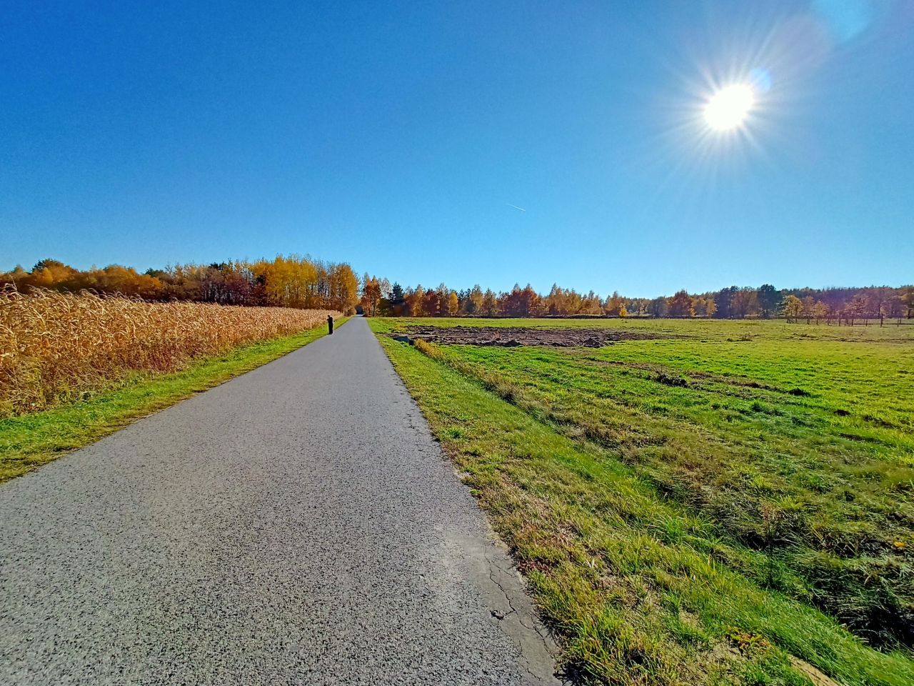 Działka budowlana Żarnów, ul. Górnicza. Zdjęcie 16