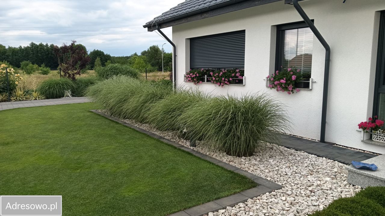 dom wolnostojący, 4 pokoje Miroszowice. Zdjęcie 7