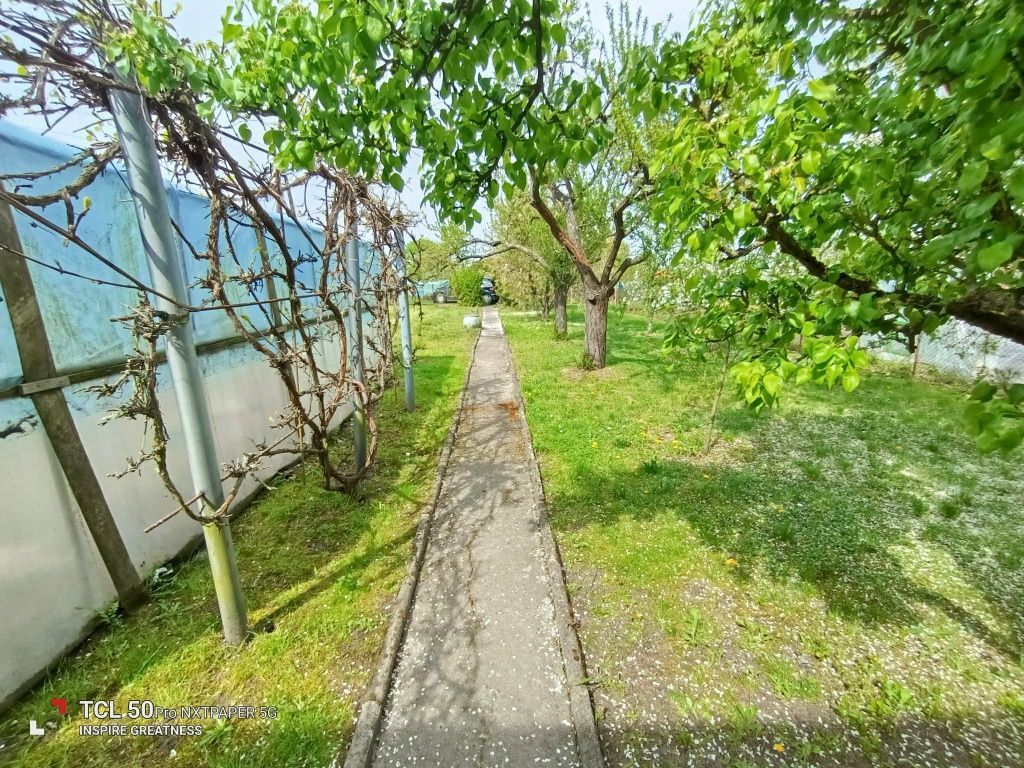 Działka rod Choszczno, ul. Fabryczna. Zdjęcie 6