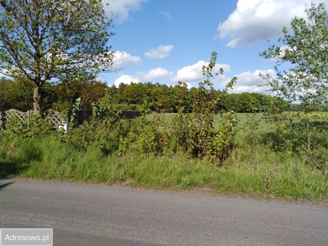 Działka budowlana Olchowo. Zdjęcie 1