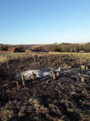 Działka budowlana Krasieniec Zakupny. Zdjęcie 5