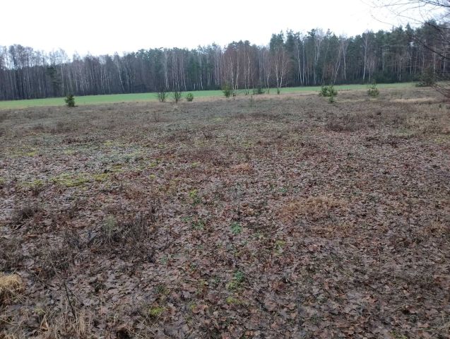 Działka budowlana Cisse. Zdjęcie 1