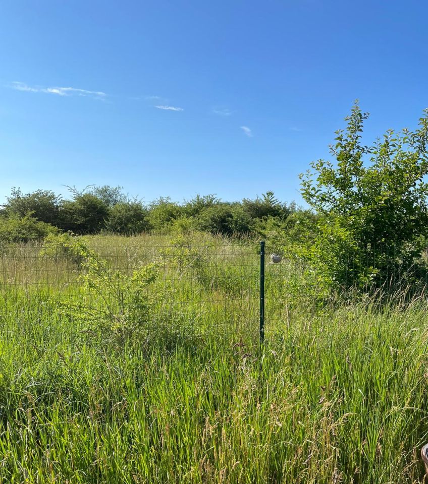 Działka rekreacyjna Niechorze. Zdjęcie 2