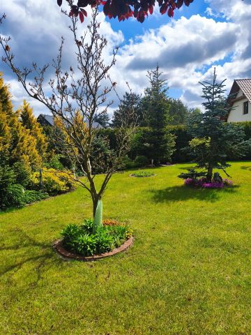 dom wolnostojący, 7 pokoi Tanowo. Zdjęcie 10