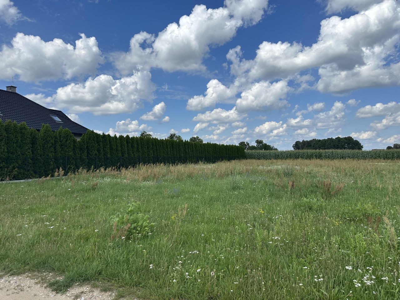 Działka budowlana Czarnowiec, ul. Błękitna. Zdjęcie 5