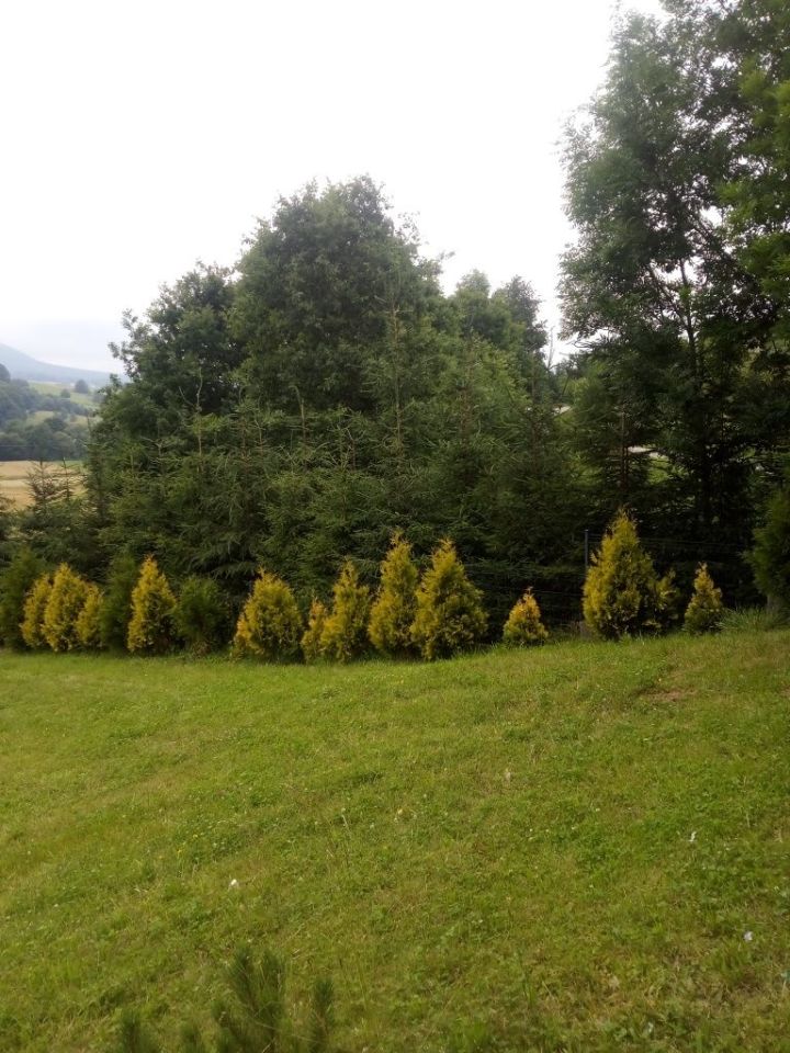 Działka budowlana Ropa Równie. Zdjęcie 2