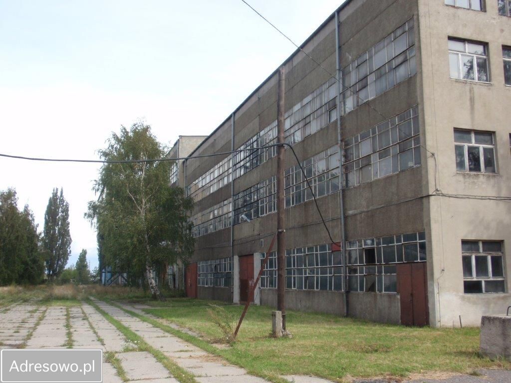 Hala/magazyn Ząbkowice Śląskie. Zdjęcie 8